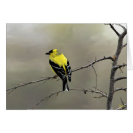 Glauben Sie immer an selbst