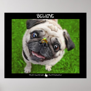 Glauben Sie Mops-Frosch-Plakat Poster