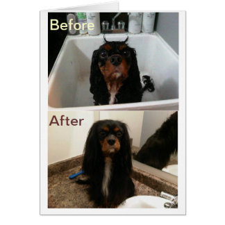 GLAUBEN VOR UND NACH