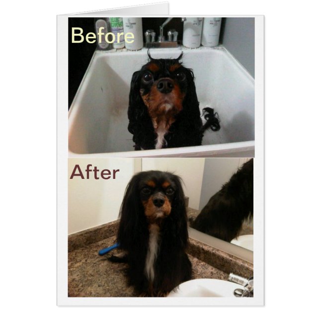 GLAUBEN VOR UND NACH (Vorne)