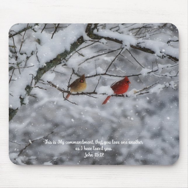 Glaubens-Kardinal-Paar im Schnee Bibelvers Mousepad (Vorne)