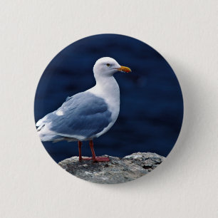 Glaucous Möve Button