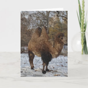 Glazed Camel Art #8083 Karte