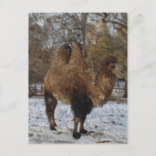 Glazed Camel Art Postkarte
