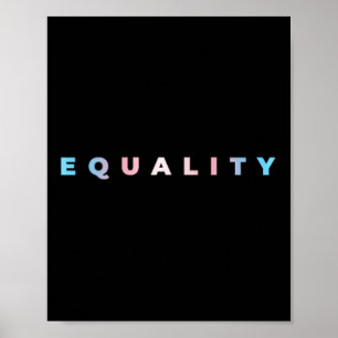 Gleichberechtigung Subtile Trans-Stolzflagge Trans Poster