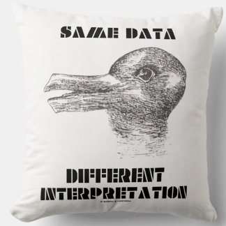 Gleiche Daten unterschiedliche Interpretation Duck Kissen