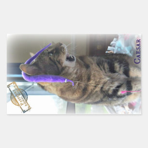 GLEICHHEIT Caesar-Aufkleber Rechteckiger Aufkleber