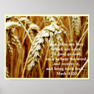 Gleichnis vom Sämann Plakat