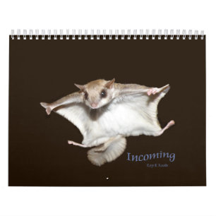 Gleithörnchen-Kalender Kalender