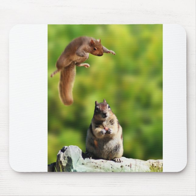 Gleithörnchen Mousepad (Vorne)