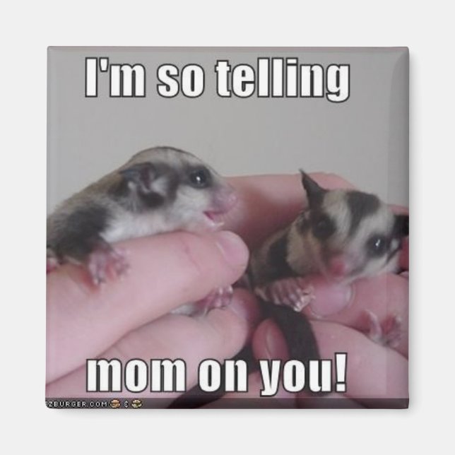 Gleitmagnet Magnet (Vorne)