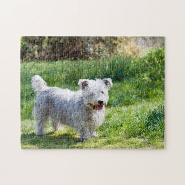 Glen of Imaal Terrier dog Puzzle (Horizontal)