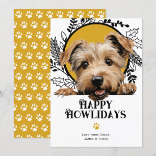 Glen von Imaal Terrier Weihnachten
