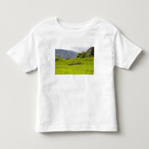 Glendalough, Irland. Glendalough ist eines Kleinkind T-shirt