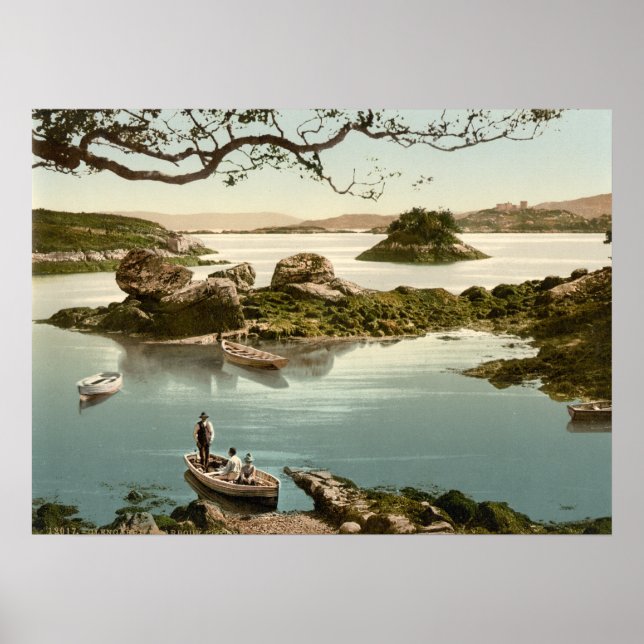 Glengariff Harbour I, Landkreis Cork Poster (Vorne)