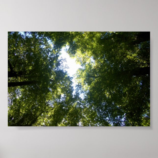 Glenorchy, NZ Poster (Vorne)