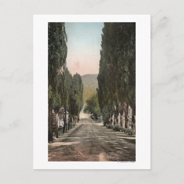 Glenwood Springs, Colorado Postkarte (Vorderseite)