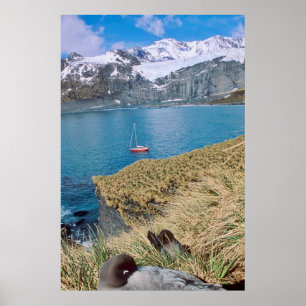 Gletscher und Segelyacht im Hintergrund Poster