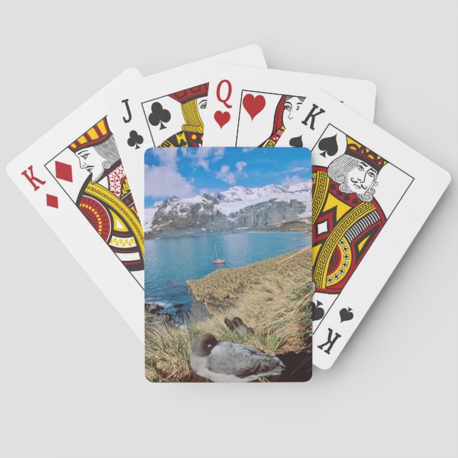 Gletscher und Segelyacht im Hintergrund Spielkarten (Rückseite)