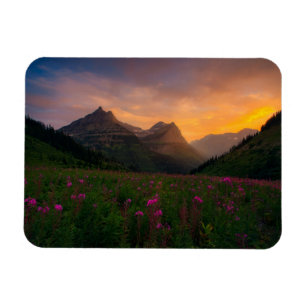 Gletscher-Wildblumen Magnet