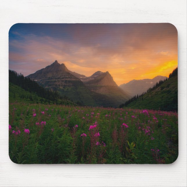 Gletscher-Wildblumen Mousepad (Vorne)