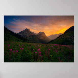 Gletscher-Wildblumen Poster