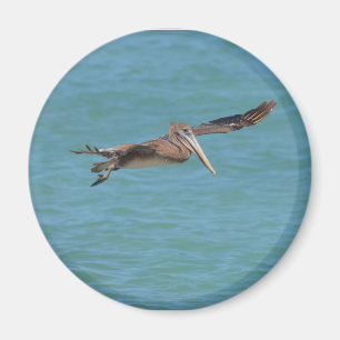 Gliding Pelican Magnet
