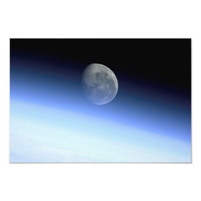 Gliedmaße Fotodruck (Vorne)