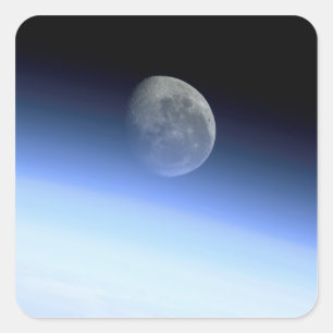 Gliedmaße Quadratischer Aufkleber