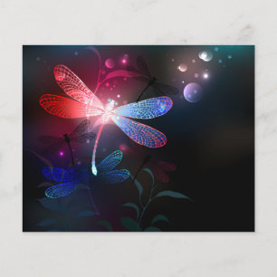 Glimmerne Rote Libelle