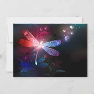 Glimmerne Rote Libelle