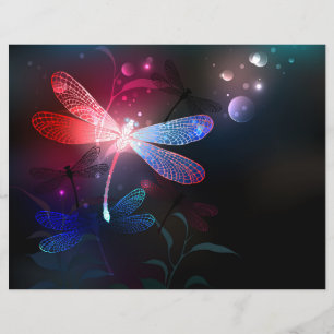 Glimmerne Rote Libelle