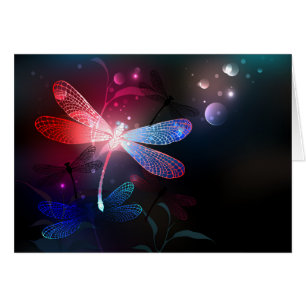 Glimmerne Rote Libelle