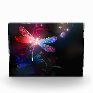 Glimmerne Rote Libelle Fotoblock