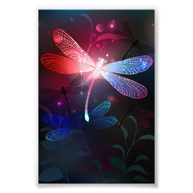Glimmerne Rote Libelle Fotodruck (Vorne)