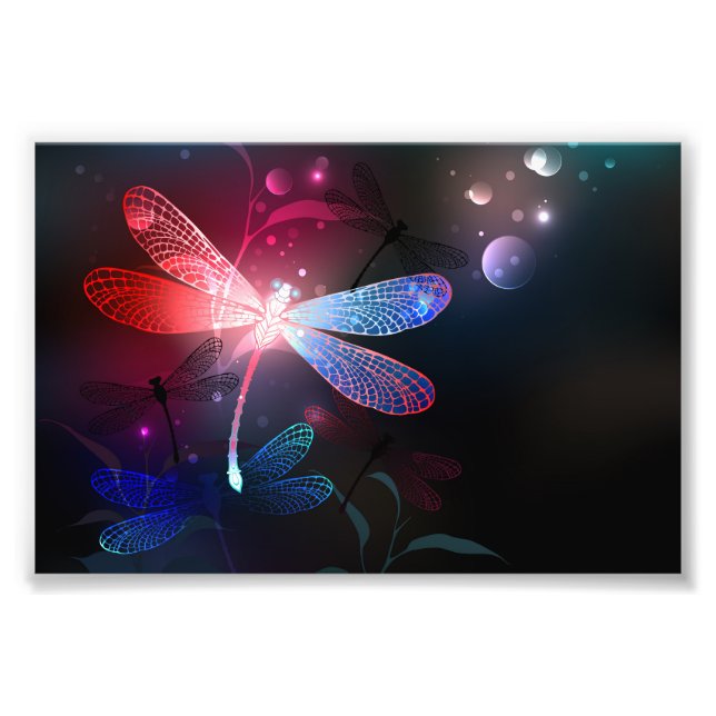 Glimmerne Rote Libelle Fotodruck (Vorne)