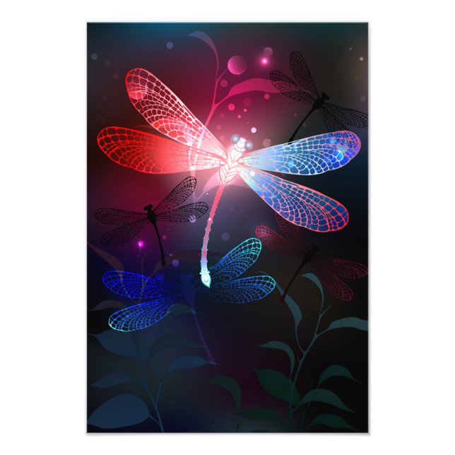 Glimmerne Rote Libelle Fotodruck (Vorne)
