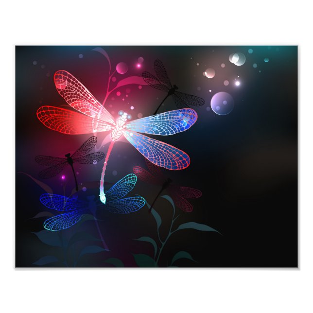 Glimmerne Rote Libelle Fotodruck (Vorne)