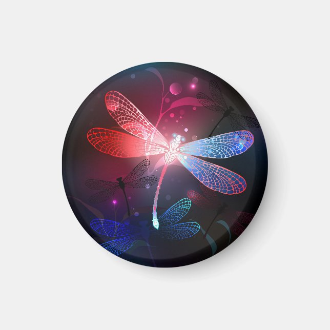 Glimmerne Rote Libelle Magnet (Vorne)