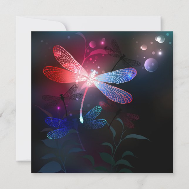 Glimmerne Rote Libelle Mitteilungskarte (Vorderseite)