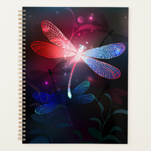 Glimmerne Rote Libelle Planer