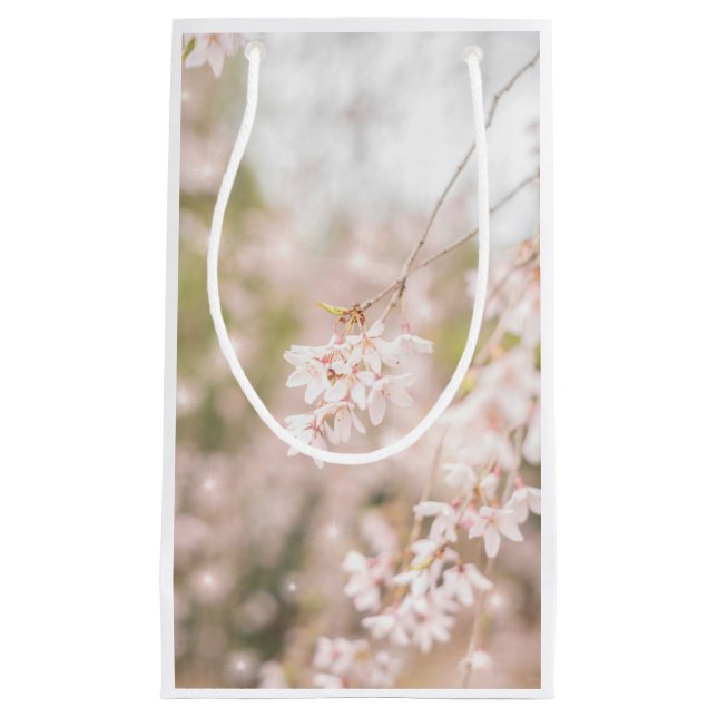 Glitzern mit hellen Wendekrebsen Kleine Geschenktüte (Vorderseite)