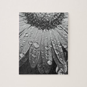 Glitzernde Regen-Tropfen auf Gänseblümchen-Blume Puzzle