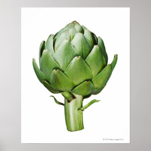 Globe Artichoke auf weißem Hintergrund ausschneide Poster
