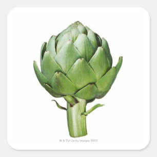 Globe Artichoke auf weißem Hintergrund ausschneide Quadratischer Aufkleber