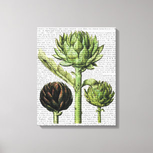 Globe Artichoke Print Leinwanddruck
