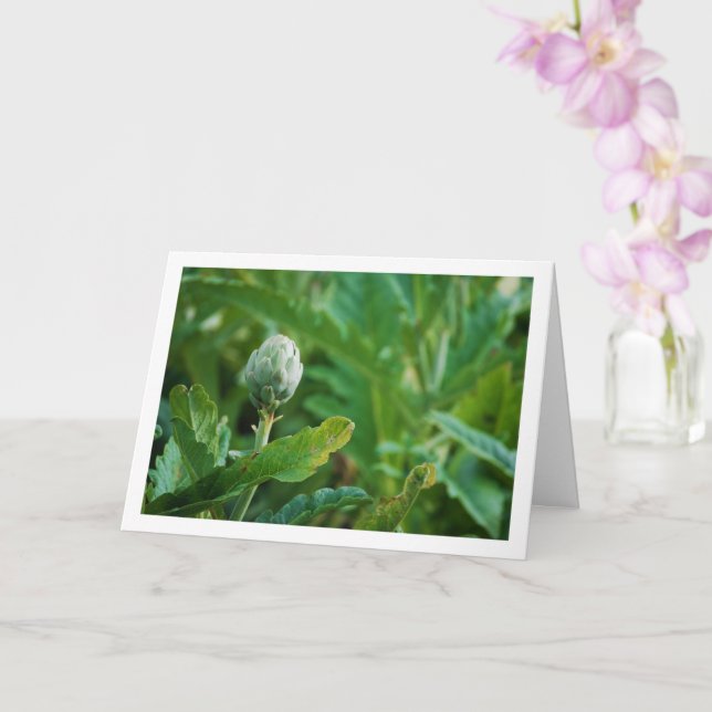Globe Artichoke Thistle Pflanze Karte (Orchidee)