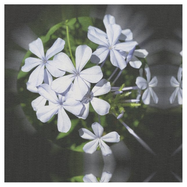 Globe der Blume Stoff (Nahaufnahme)