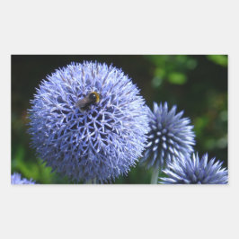 Globe Thistle Blume Sticker