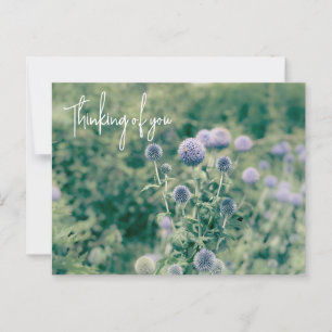 Globe Thistle Denken Sie an Sie Postkarte